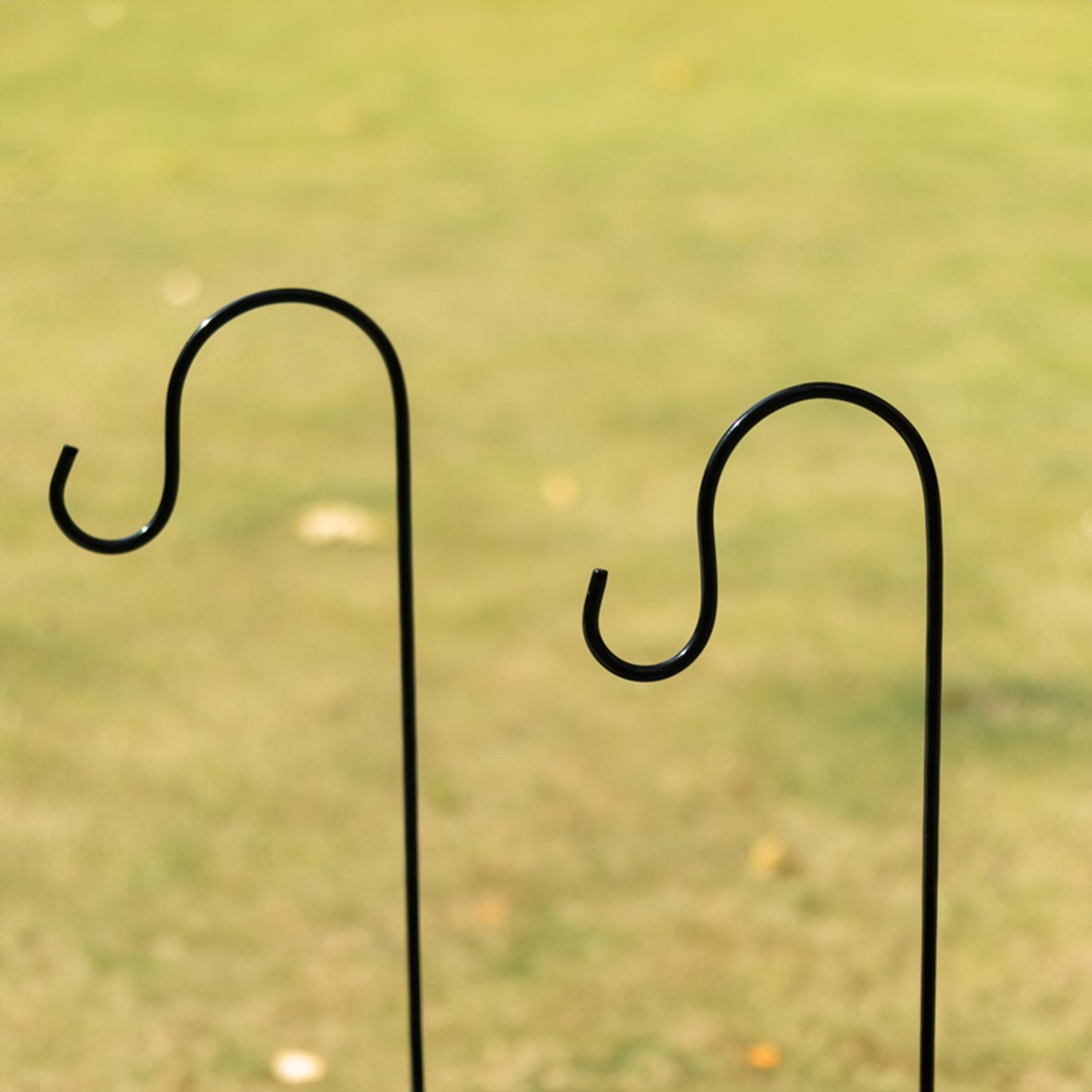 Black Metal Shepherds Hook Lantern Hangers with Prong Base