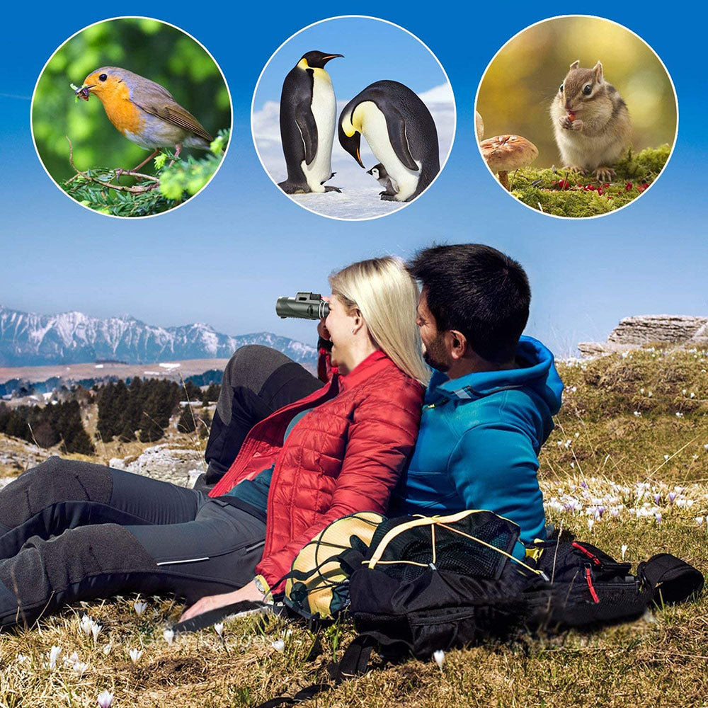 🌙High-Power 80x100 Monocular | Compact, Clear & Long-Distance Viewing
