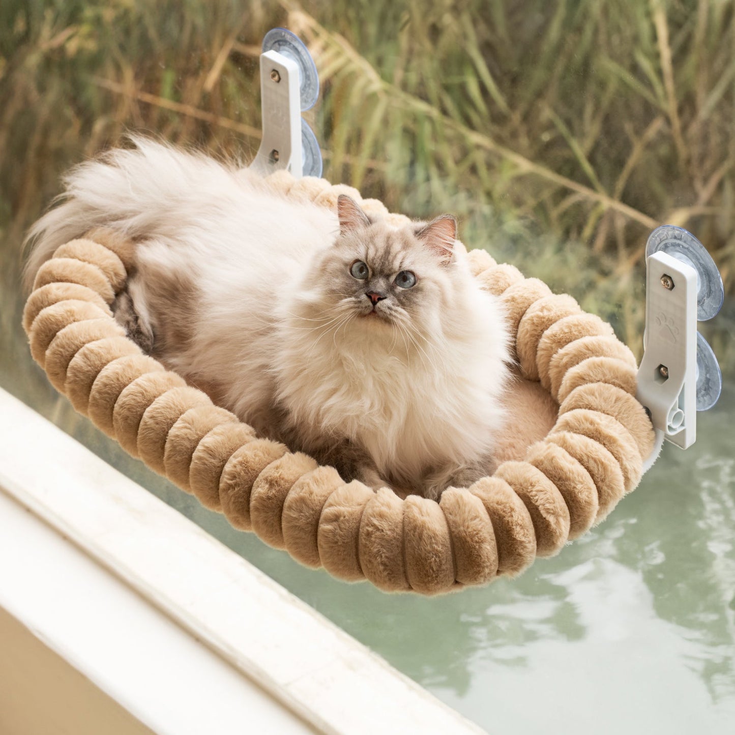 Aspen Foldable Cat Window Perch Pro