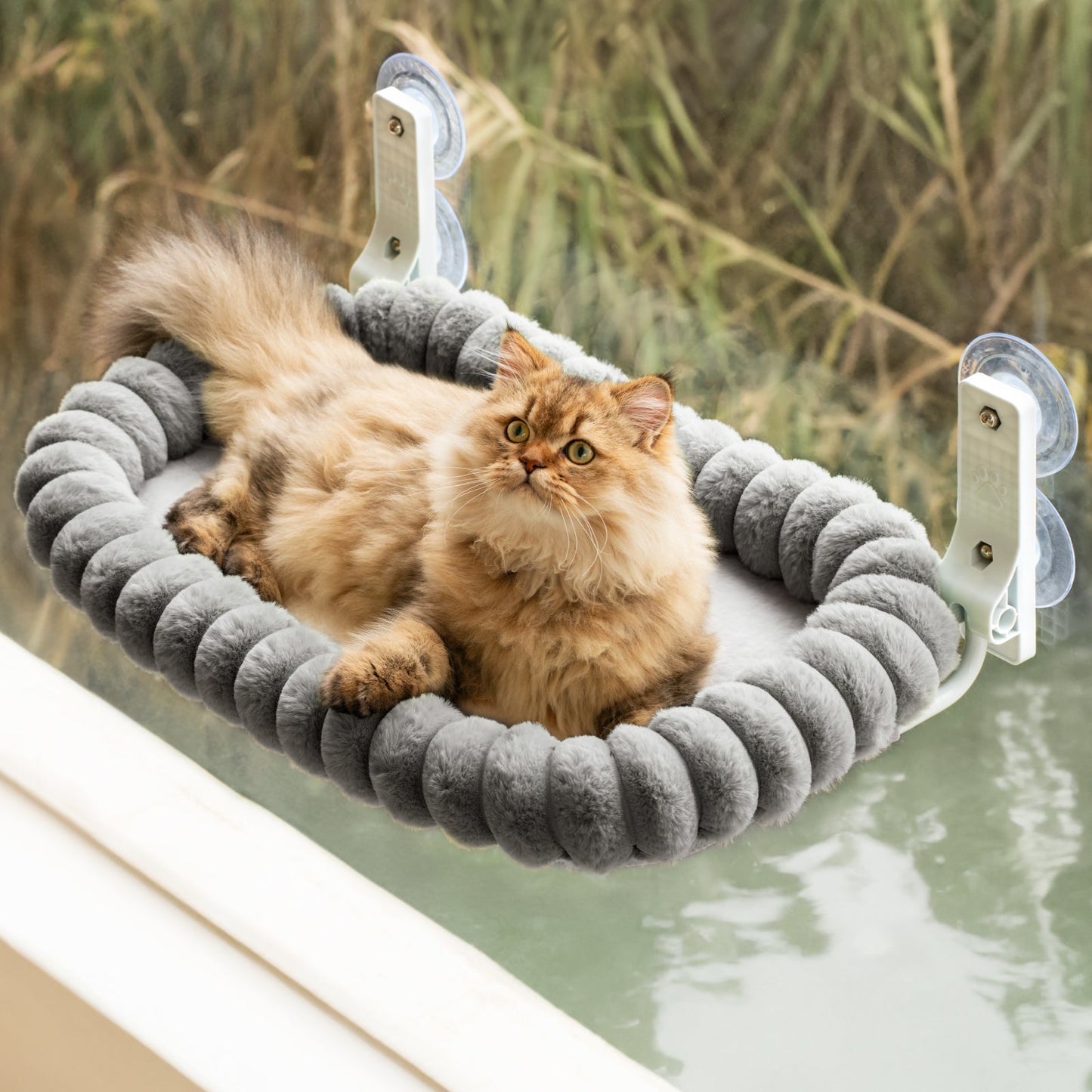 Aspen Foldable Cat Window Perch Pro