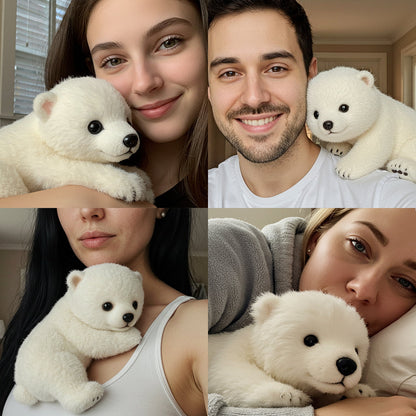 🐻‍❄️Poly™ the Bear